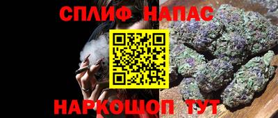 СК Будённовск