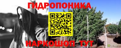 СК Будённовск