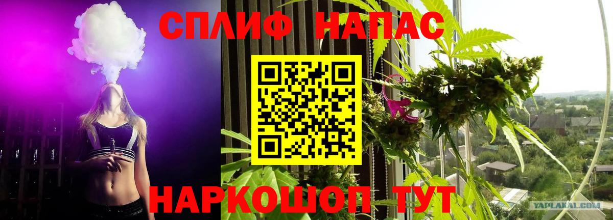 Каннабис White Widow  Вход с VPN  Карабулак  Шишки марихуана сатива  Конопля индика 